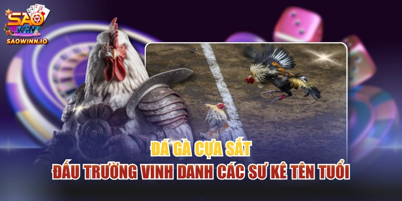 Đá gà cựa sắt
